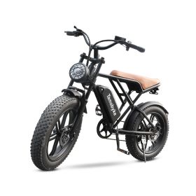 750W Fat Tire Electric Bike City Mountain Snow Ride 20 Inch Electric Bicycle Arrival At The End Of November