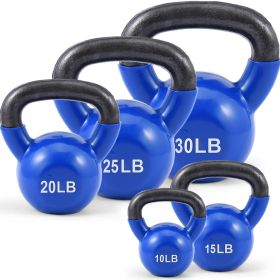 Solid  Iron Kettlebells Vinyl Coated Kettlebells Exercise Kettlebell,Weight Training Equipment Workout Equipment Gear (Color: Blue, size: 183)